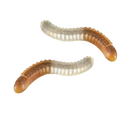 Serpenti Gommosi Cola 2kg